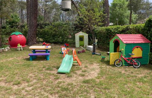 Aventura II - Photo 35