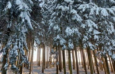 Maries bunte Villa - Foto 2