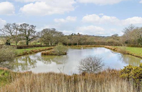 1 Bed in Launceston oc-81076 - Foto 15