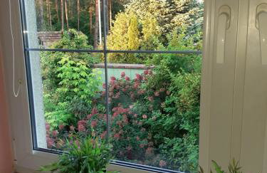 Kaszubiana direkt in der Natur - Photo 41