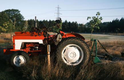 Willow Lodge - Foto 17