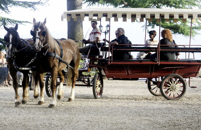 Villa Poggio Bartoli - Photo 39