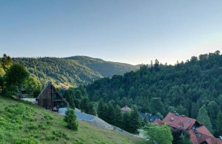 Domek w Szczyrku sauna & balia - Foto 46