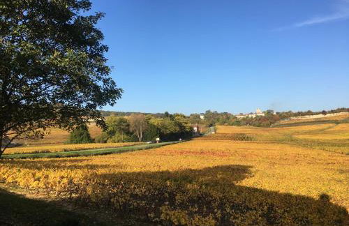 La Maison du Clos du Roi - Foto 18