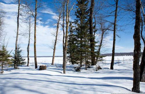 Classic American Getaway in a Lakeside Cabin near Detroit Lakes and Itasca State Park, Minnesota - Foto 39
