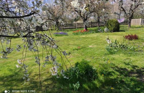 Ferienhaus Heider II - Foto 13