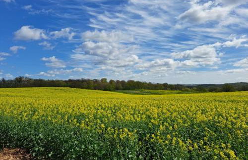 Holiday home Neukalen Comfortable holiday residence - Foto 14