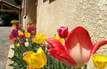 Maison 3 étoiles avec jardin pour familles, sportifs, curistes... - Foto 20