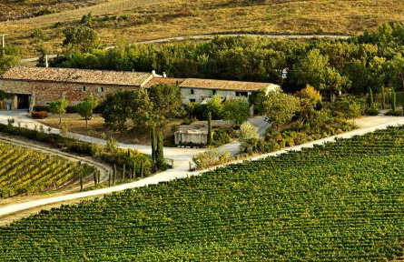 Domaine - Vignoble - Jacuzzi - Sauna - 14 à 18 pers - Foto 12