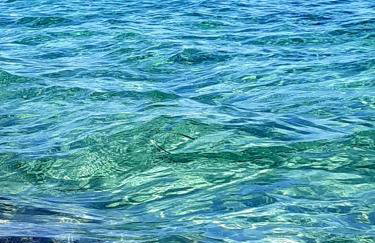 Studio Wilem - Foto 59