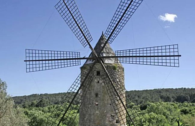 Agroturismo Es Molí de Son Maiol - Foto 41