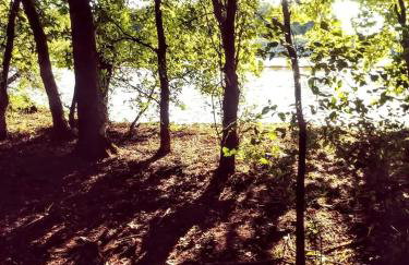 Hillbilly Chic Tiny House Near Nashville with WiFi, Kitchenette, Fire Pit & Trails - Foto 80