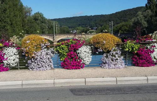 Gîte paisible au pied du Bassin de Champagney, animaux acceptés - FR-1-583-372 - Foto 21