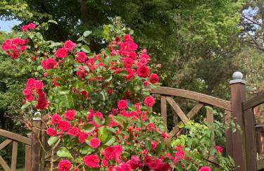 Brüni 18 - Idyllische Wohnung auf dem Land - Foto 10