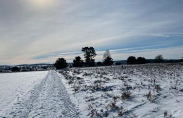 Haus Petersen - Foto 39