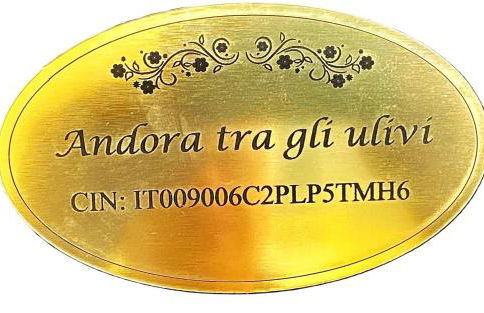 Appartamento Andora Tra gli ulivi - Foto 16