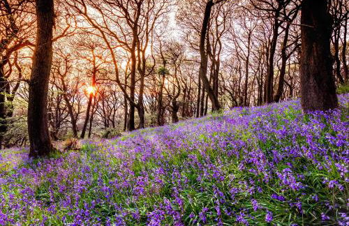 The Coach House Barn - Foto 23