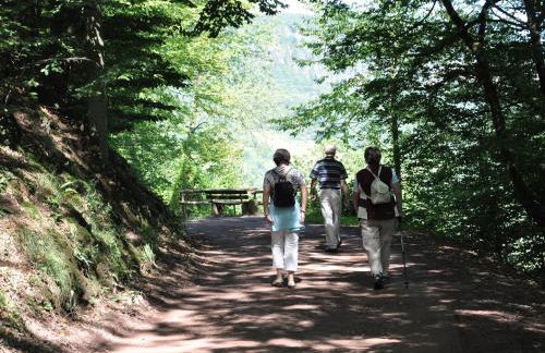 Ferienwohnung am Moselufer - Foto 41