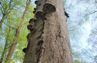 Haus am Zabelstein - Foto 29