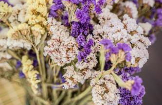 Nenes Apartment - Foto 18