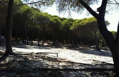 Case Vacanze Budoni Beach - Foto 61