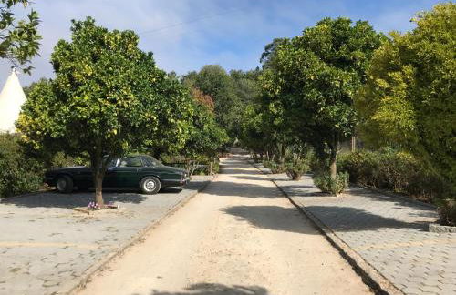 Quinta da Fontoura - Foto 4