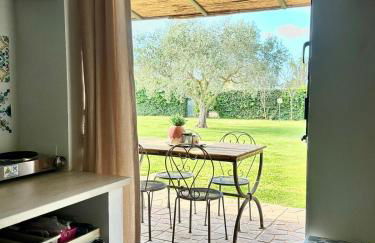 "IL CASALE DEI GIRASOLI" Country House in Capalbio - Foto 8