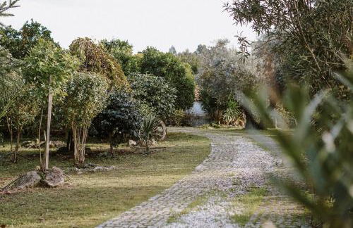 Casa Rural Oliveira do Bairro - Foto 40