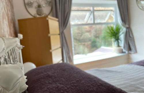 Afan forest-Cregan Cottage-Pet friendly - Foto 33