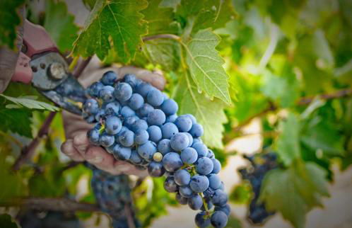 Alojamiento Rural La Cañada - Foto 105