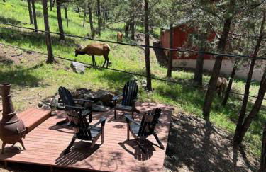 Horsin Around-cabin With A Peaceful Covered Deck - Foto 11