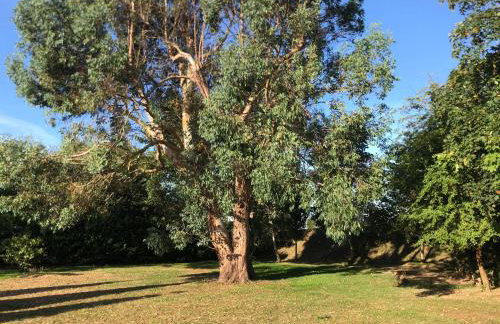 The Hen House - Foto 14