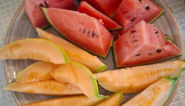 Agriturismo IL VECCHIO OLIVO - Foto 5