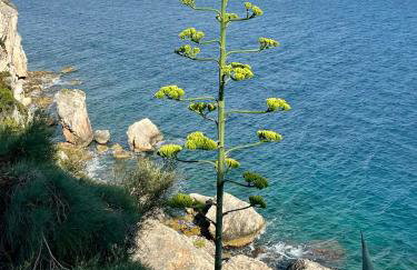 Apartament Slatine No 1 - Foto 21