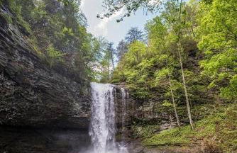 1921 Chattanooga Valley The Little Blue Farmhouse - Foto 58