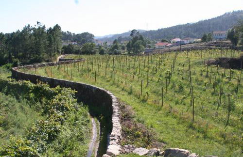 Estabulo de Valinhas - Foto 16