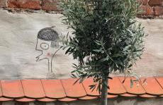 Altstadt Apartment in Torgau mit Balkon und Kunstgarten - Foto 25