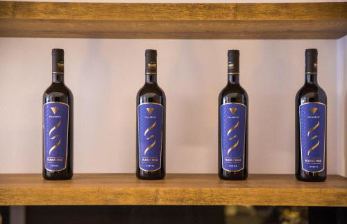 Downtown Oasis - Photo 42