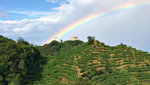 Le Vigne di Annalisa Sweet Relax Rooms in Unesco Prosecco D.o.c.g. - Foto 3