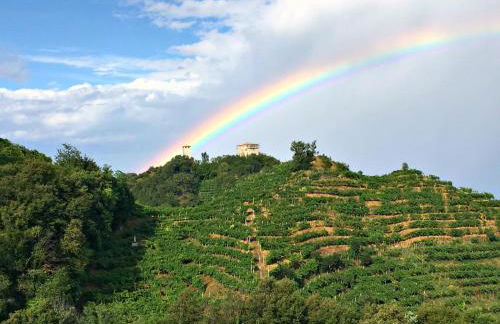 Le Vigne di Annalisa Sweet Relax Rooms in Unesco Prosecco D.o.c.g. - Foto 3