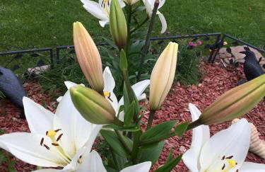 Ferienwohnung Evelyn und Reinhard Himmler - Foto 44
