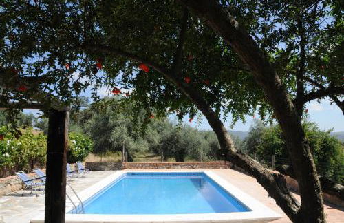 Finca Ecológica Morera - Foto 19