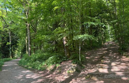 Appartement cosy et calme avec parking et terrasse privés - Foto 13