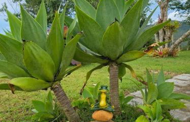Casa das Hortênsias - Foto 10