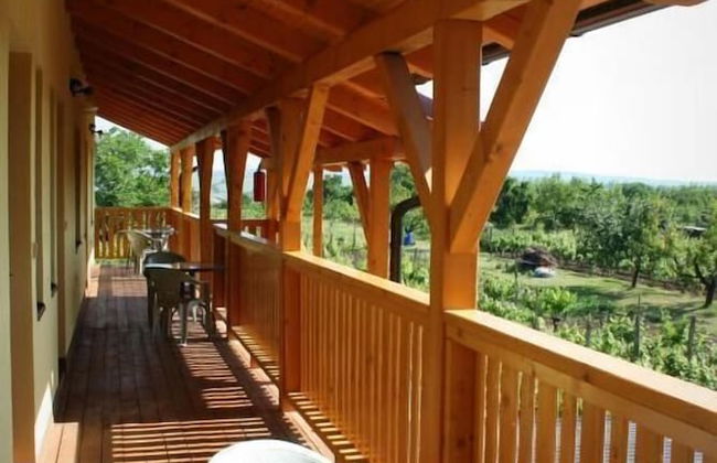 PENZION POD PALAVU - Photo 35