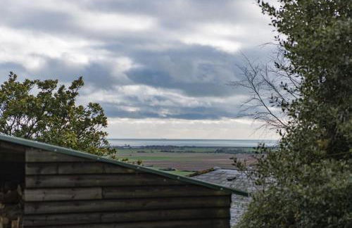 Piglets Place - Photo 38