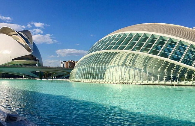 Desde Albir, Benidorm & Calpe : Excursión de un día a Valencia Ciudad - Foto 9