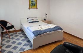 Ferienhaus in Lambsheim- "Familienfreundlich", PlayStation-FIFA - Foto 12