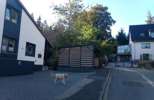 Sammy's FeWo - Foto 13