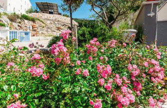 Apartmani Gelo - Foto 79